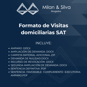 Formato de Visitas domiciliarias SAT