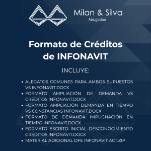 Formato de Créditos Infonavit