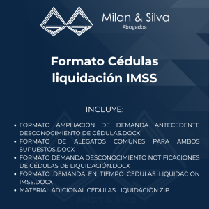Formato Cédulas liquidación IMSS
