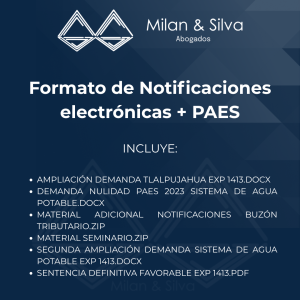 Formato de Notificaciones electrónicas + PAES