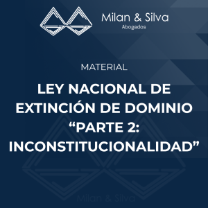 LEY NACIONAL DE EXTINCIÓN DE DOMINIO “PARTE 2: INCONSTITUCIONALIDAD”