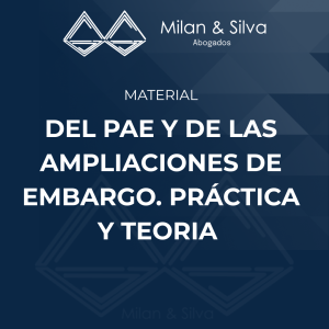 DEL PAE Y DE LAS AMPLIACIONES DE EMBARGO. PRÁCTICA Y TEORIA