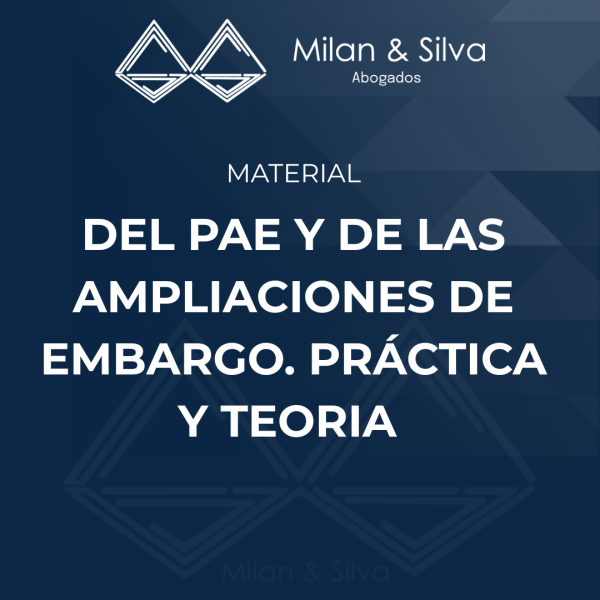 DEL PAE Y DE LAS AMPLIACIONES DE EMBARGO. PRÁCTICA Y TEORIA