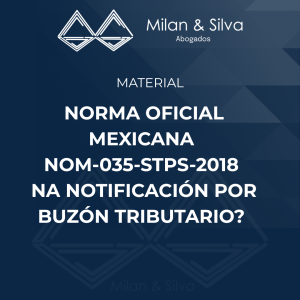NORMA OFICIAL MEXICANA NOM-035-STPS-2018