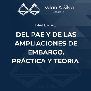 DEL PAE Y DE LAS AMPLIACIONES DE EMBARGO. PRÁCTICA Y TEORIA