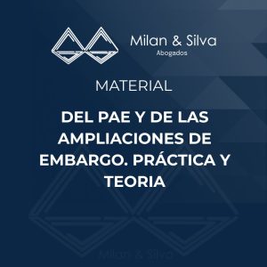 DEL PAE Y DE LAS AMPLIACIONES DE EMBARGO. PRÁCTICA Y TEORIA